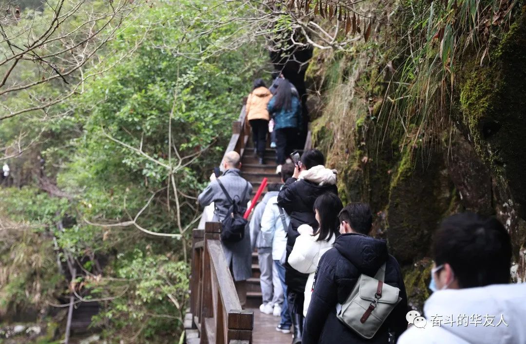 “桐”在一起，，“衢”味横生，，“非”常精彩！-文化活动-浙江华友钴业股份有限公司