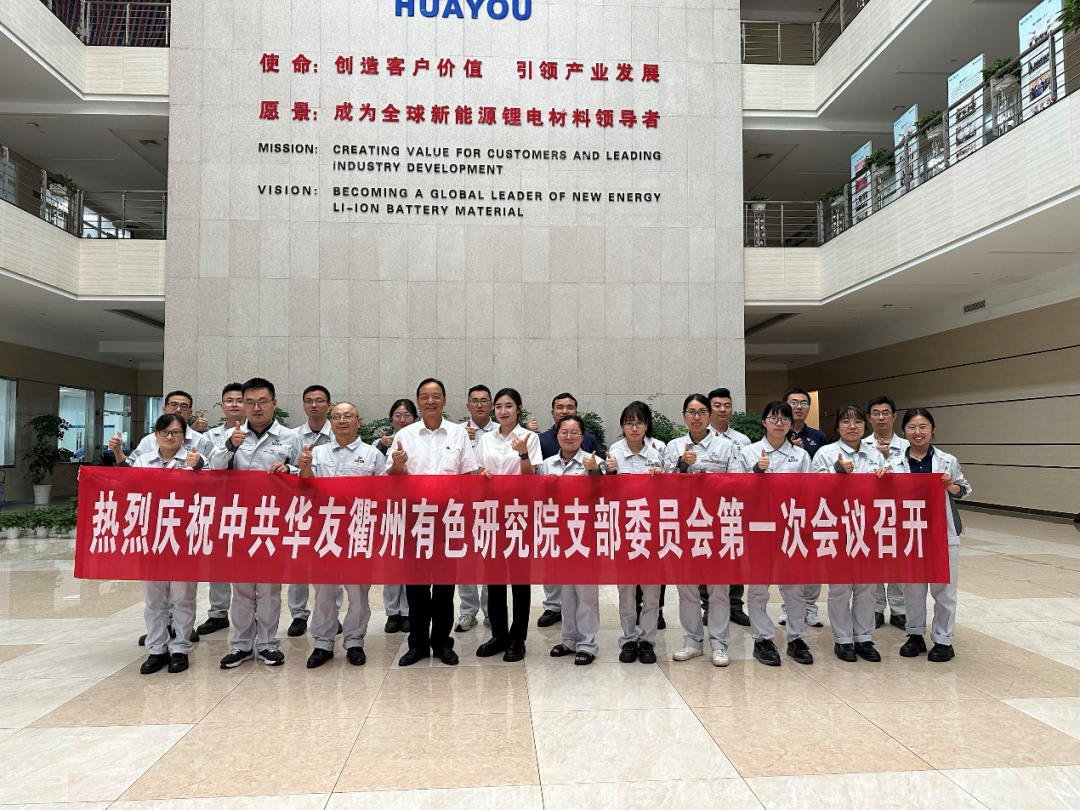 【国庆特辑（二）】党员心声：批注伟大的祖国！-党建运动-浙江华友钴业股份有限公司