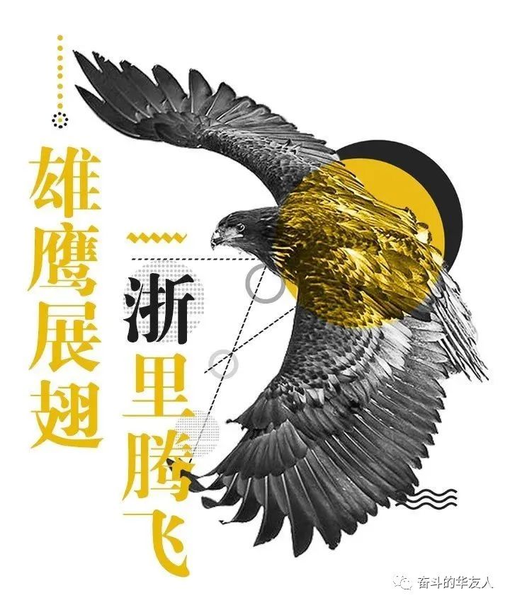 雄鹰，，青云直上！-企业新闻-浙江华友钴业股份有限公司