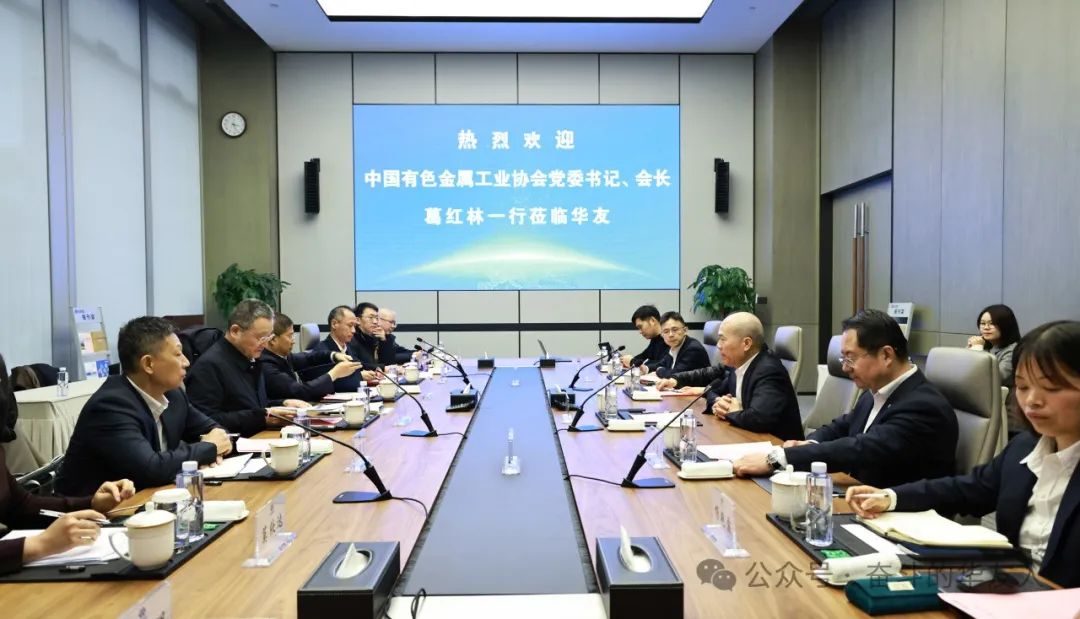 中国有色金属工业协会党委书记、会长葛红林莅临集团总部调研-企业新闻-浙江华友钴业股份有限公司