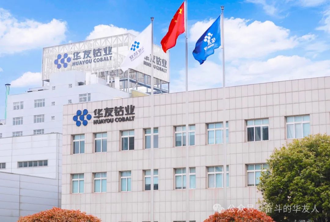 蓄势赋能，，，，，，推动公司高质量生长行稳致远-企业新闻-浙江华友钴业股份有限公司