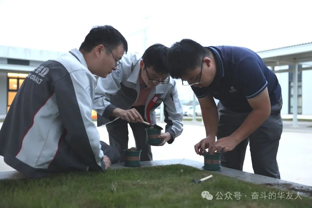 【华友简讯】相识全球华友精彩故事-企业新闻-浙江华友钴业股份有限公司