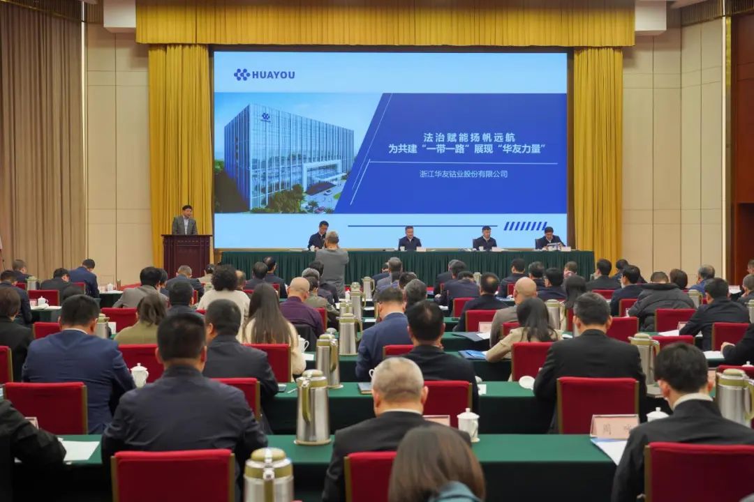 法治赋能、扬帆远航，，，，，，为共建“一带一起”展现“华友实力”-企业新闻-浙江华友钴业股份有限公司