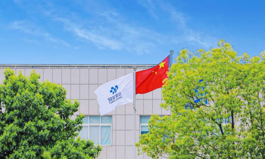 接续斗争启新程 | 桐乡市三级干部大会上，，，，，，华友钴业摘得多项声誉！-企业新闻-浙江华友钴业股份有限公司