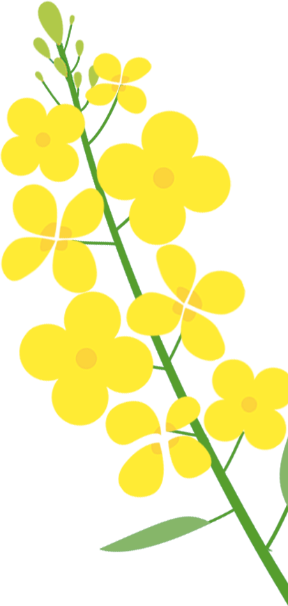 踏青筑梦 活力偕行|华友广西工业园团委组织开展主题团日活动 -团委活动-浙江华友钴业股份有限公司