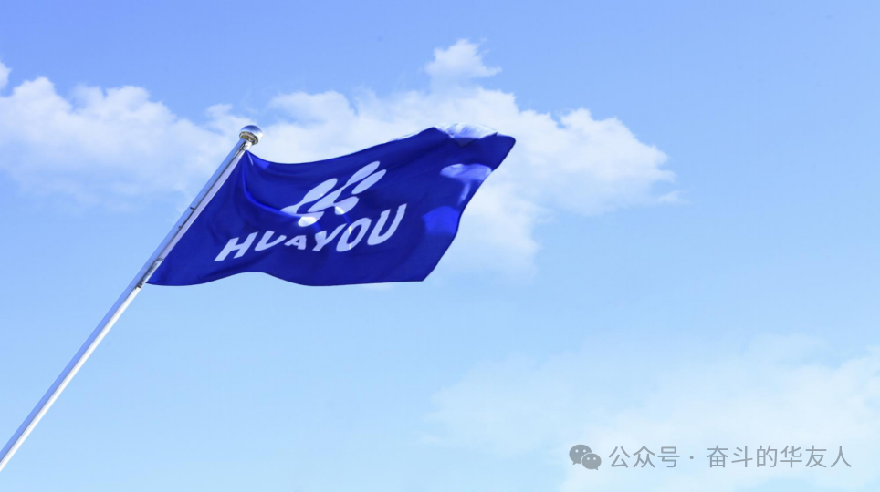 国际ESG殊荣！华友钴业乐成入选标普全球《可一连生长年鉴（中国版）2025》-企业新闻-浙江华友钴业股份有限公司