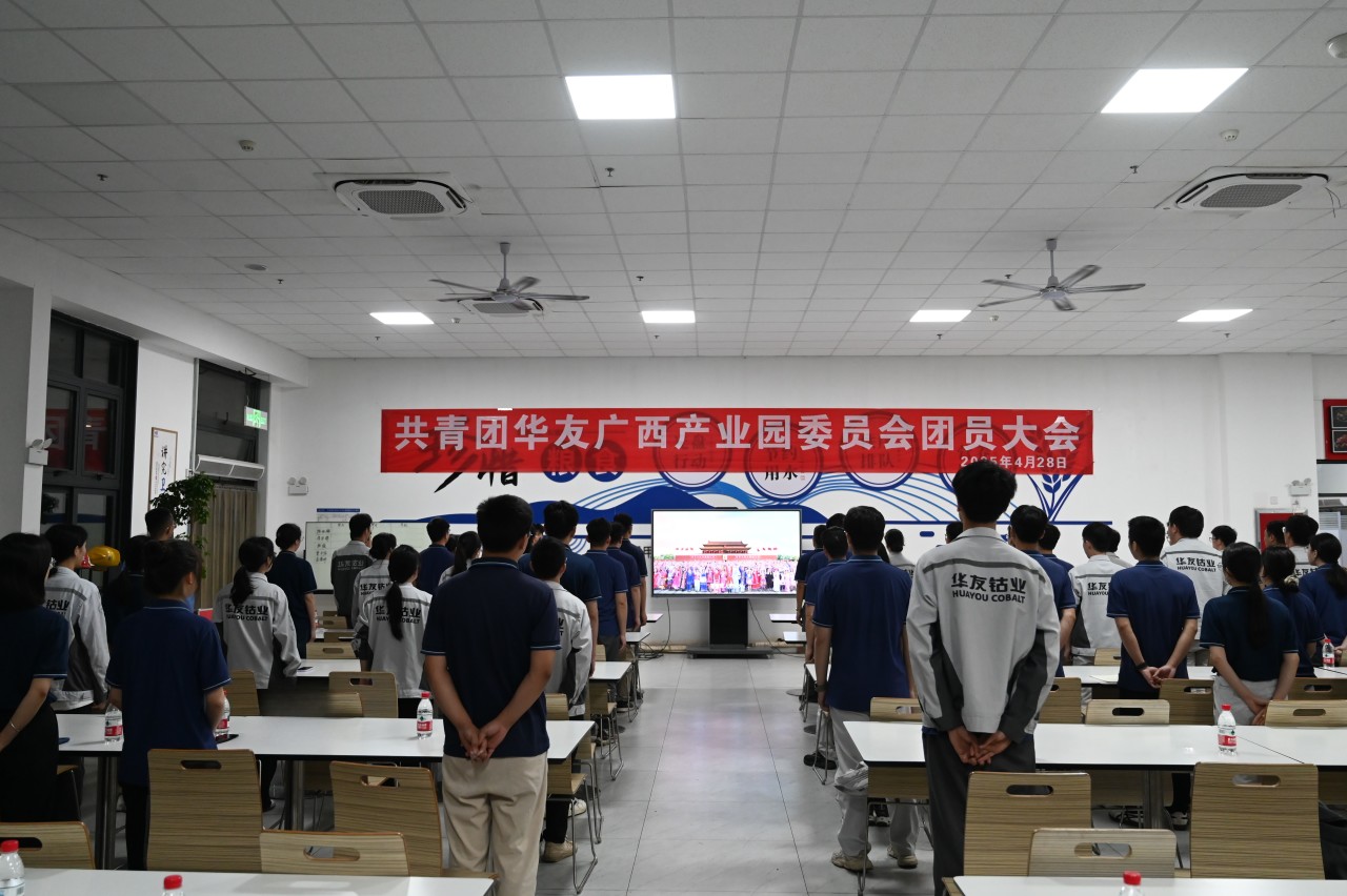 华友广西工业园团委召开团员大会暨五四表扬聚会-团委运动-浙江华友钴业股份有限公司