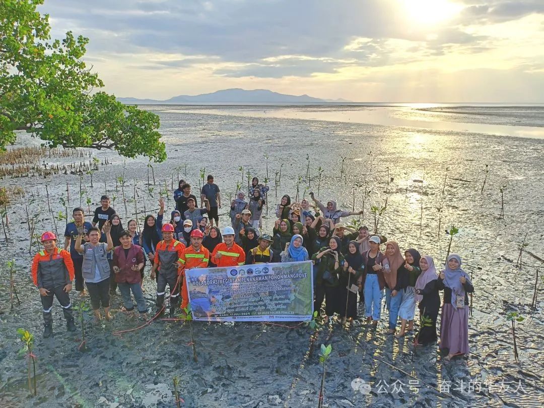 Special Issue of International Business Daily — Huayou Indonesia IPIP Park: Building a New Benchmark for Global Lithium Battery Industry and Jointly Creating a Green Future-Media Reports-Huayou New Energy Technology (Quzhou) Co., Ltd.