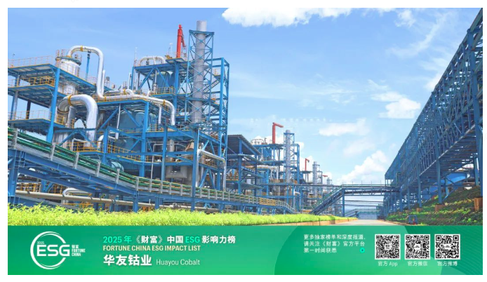 以责任引领行业，，，，，用行动界说未来——华友钴业荣登2025年《财产》中国ESG影响力榜-企业新闻-浙江华友钴业股份有限公司