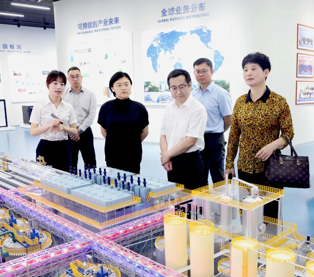 桐乡市委副书记、市长何珊瑚莅临华友衢州工业园调研指导-企业新闻-浙江华友钴业股份有限公司