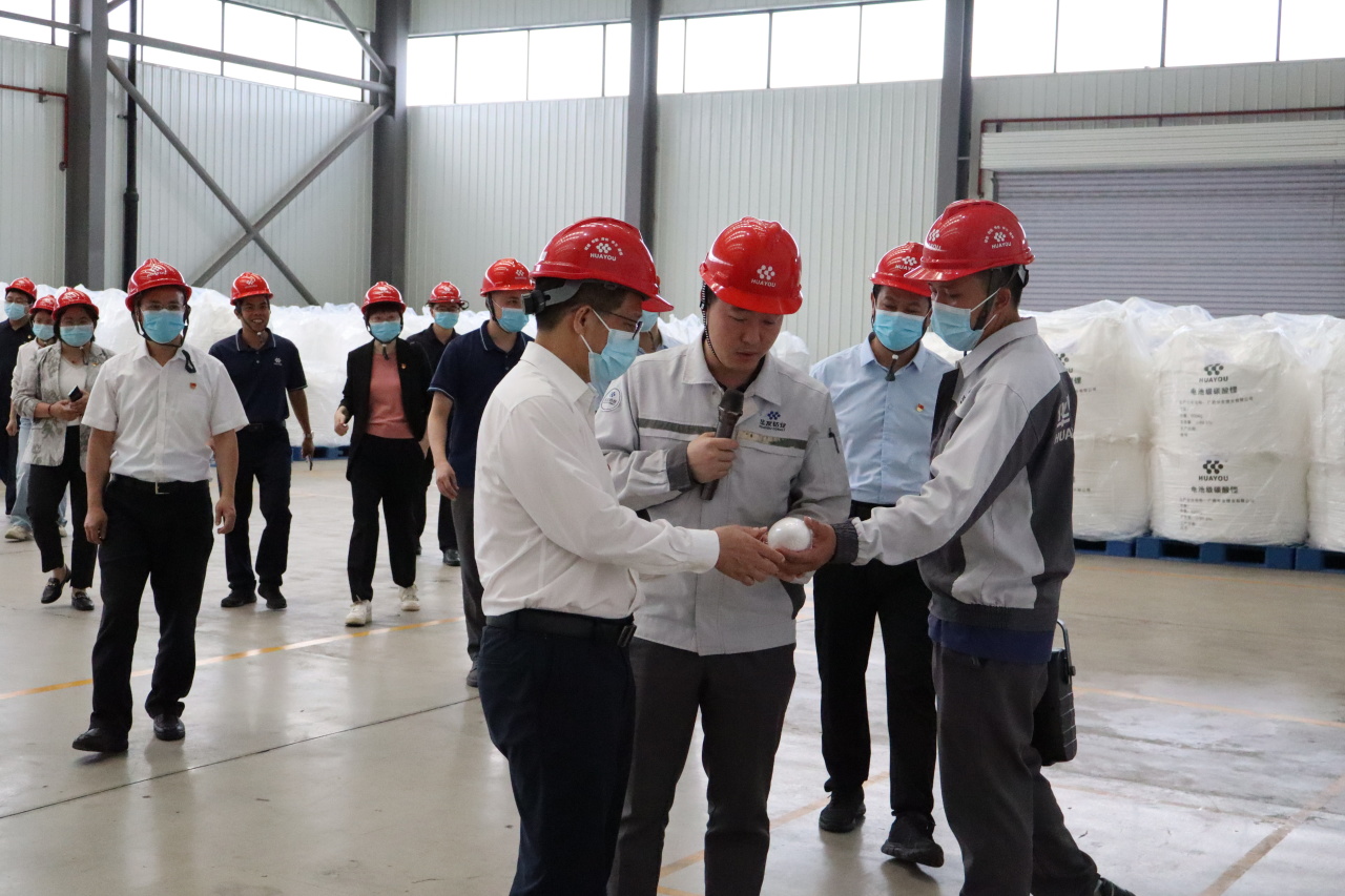 党建联建聚协力，，校企携手谱新篇章 丨华友广西园区与广西大学开展党建联建共建活动-党建活动-浙江华友钴业股份有限公司