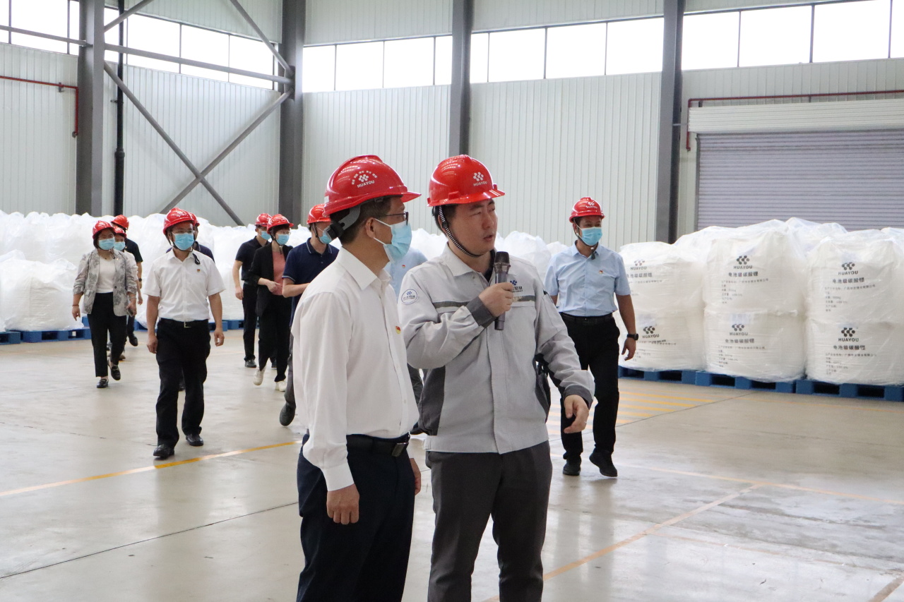 党建联建聚协力，，校企携手谱新篇章 丨华友广西园区与广西大学开展党建联建共建活动-党建活动-浙江华友钴业股份有限公司