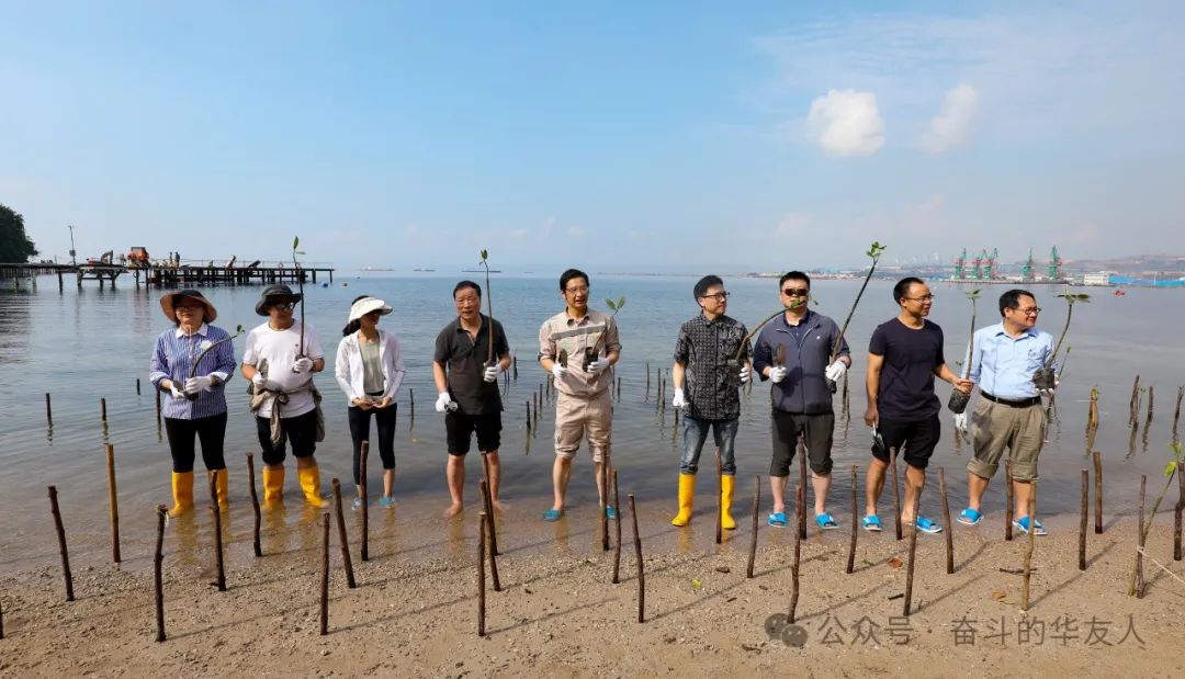 Huayou Cobalt's Mangrove Conservation in Indonesia: ESG Practices and a Path to Ecological Synergy-News Releases-Huayou New Energy Technology (Quzhou) Co., Ltd.